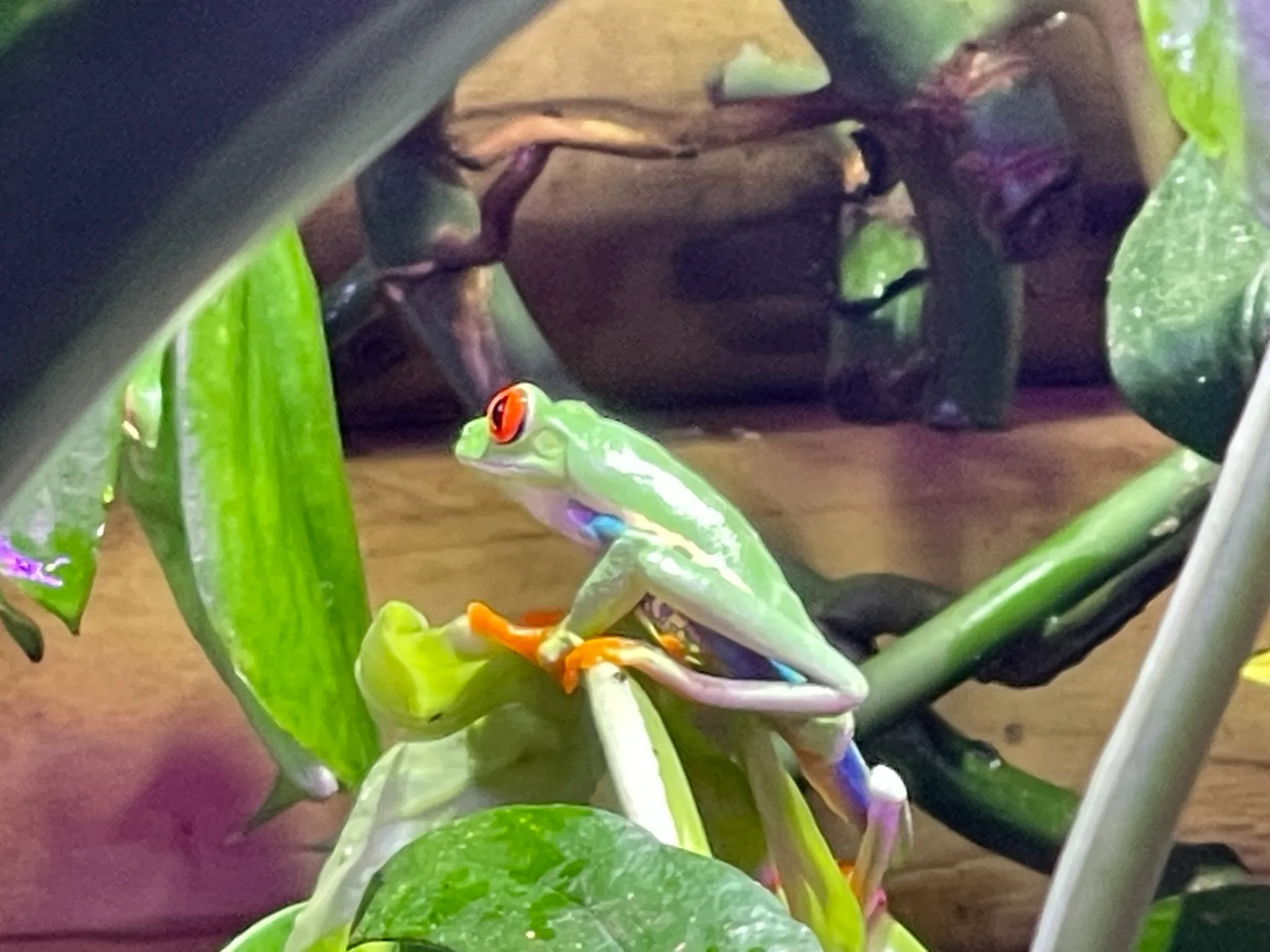 【4月実施 模擬試験のご案内】